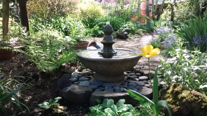 IMG_20160406_134230117