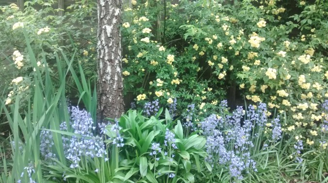 Spring Garden 4.11.16