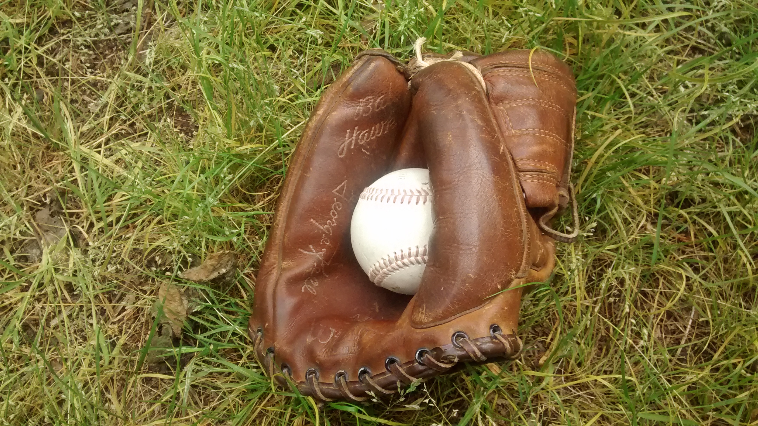 Ballglove 3