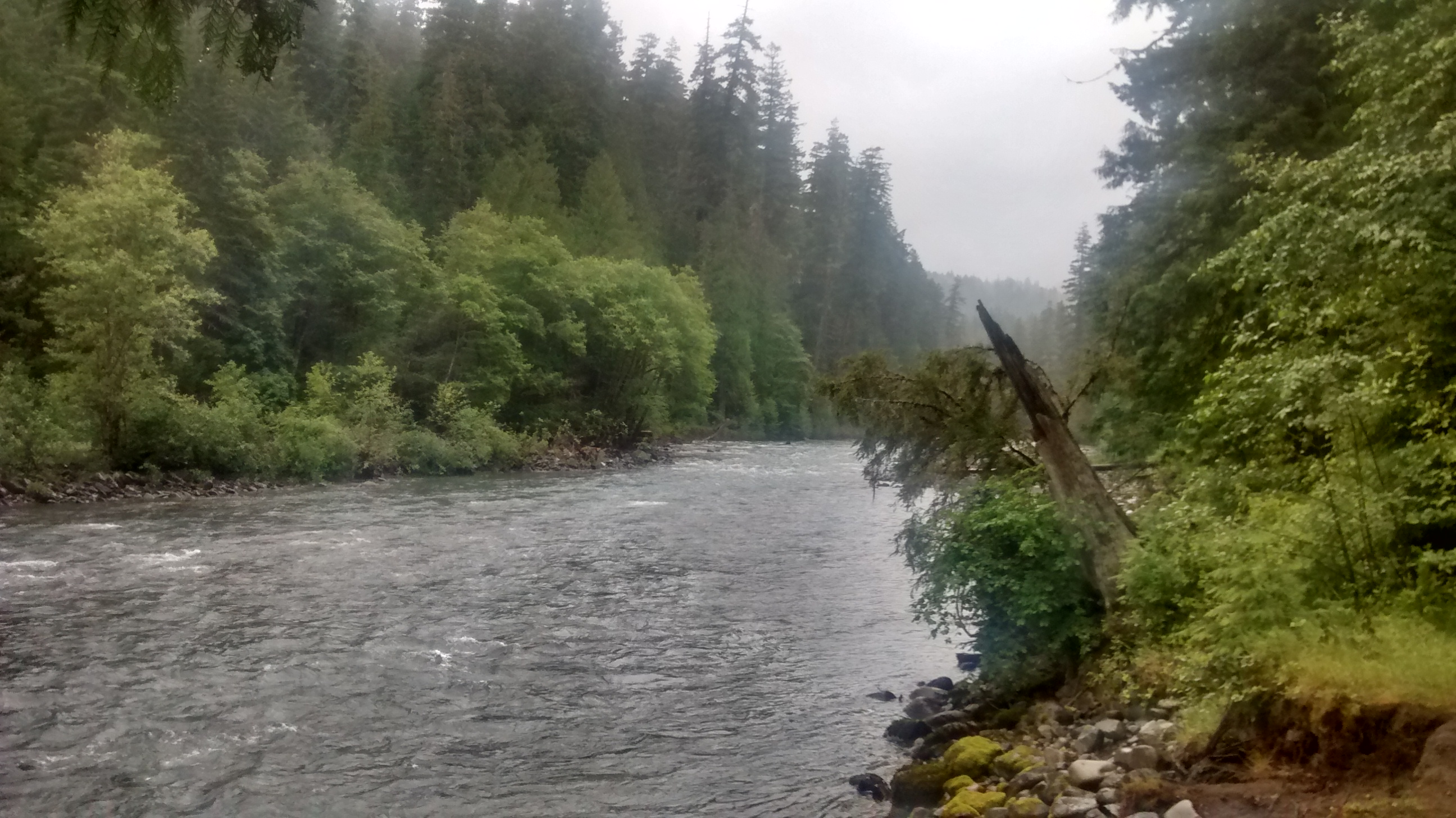 La Wis Wis Camp - Rain