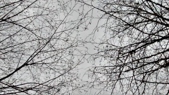 img_20161226_161109765_hdr