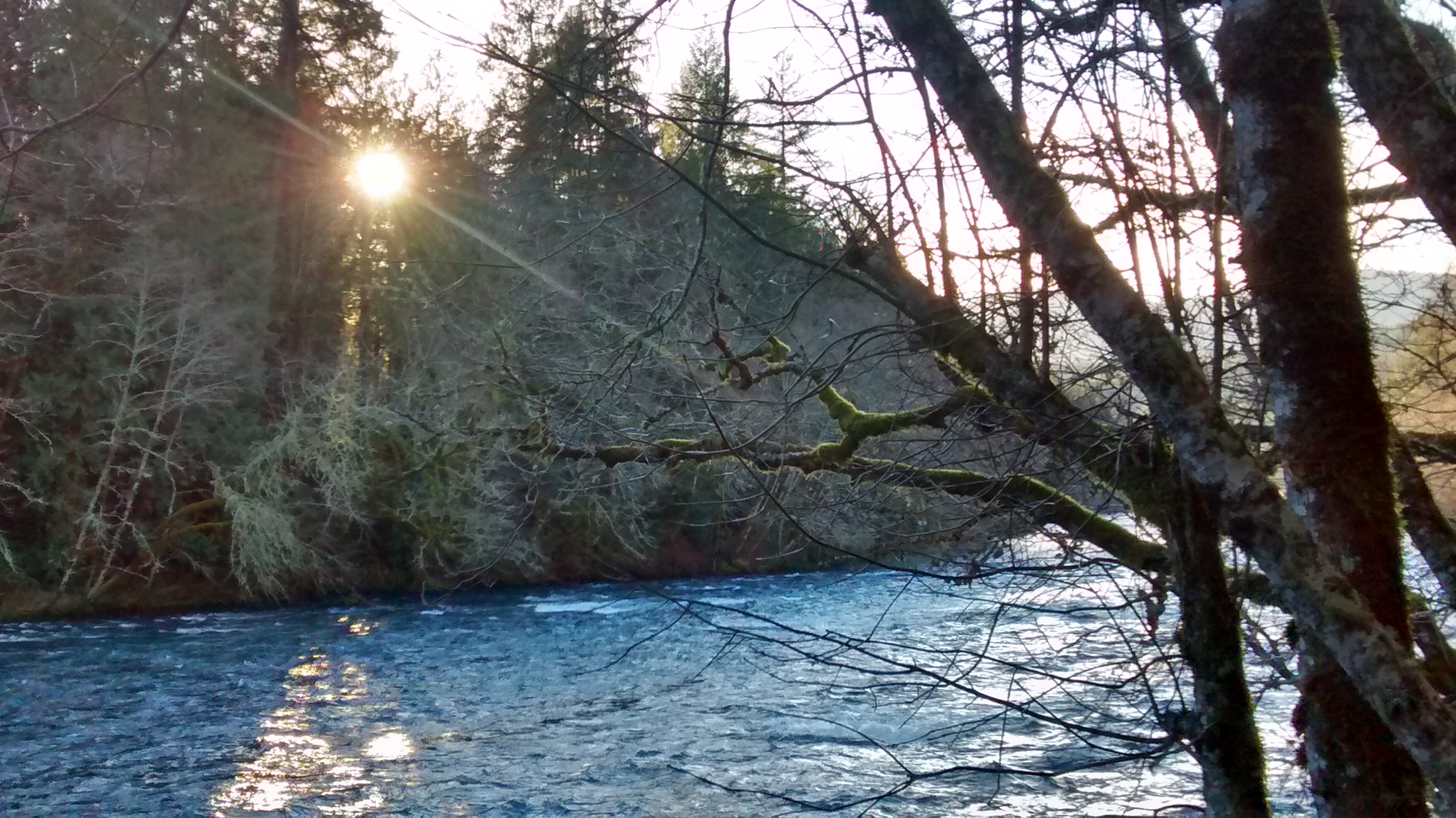 mckenzie-river-afternoon-12-28-16