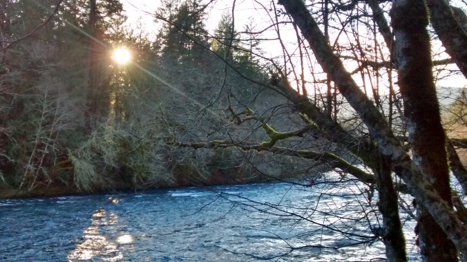mckenzie-river-afternoon-12-28-16