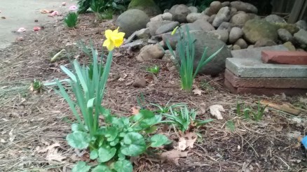 img_20170305_160656639