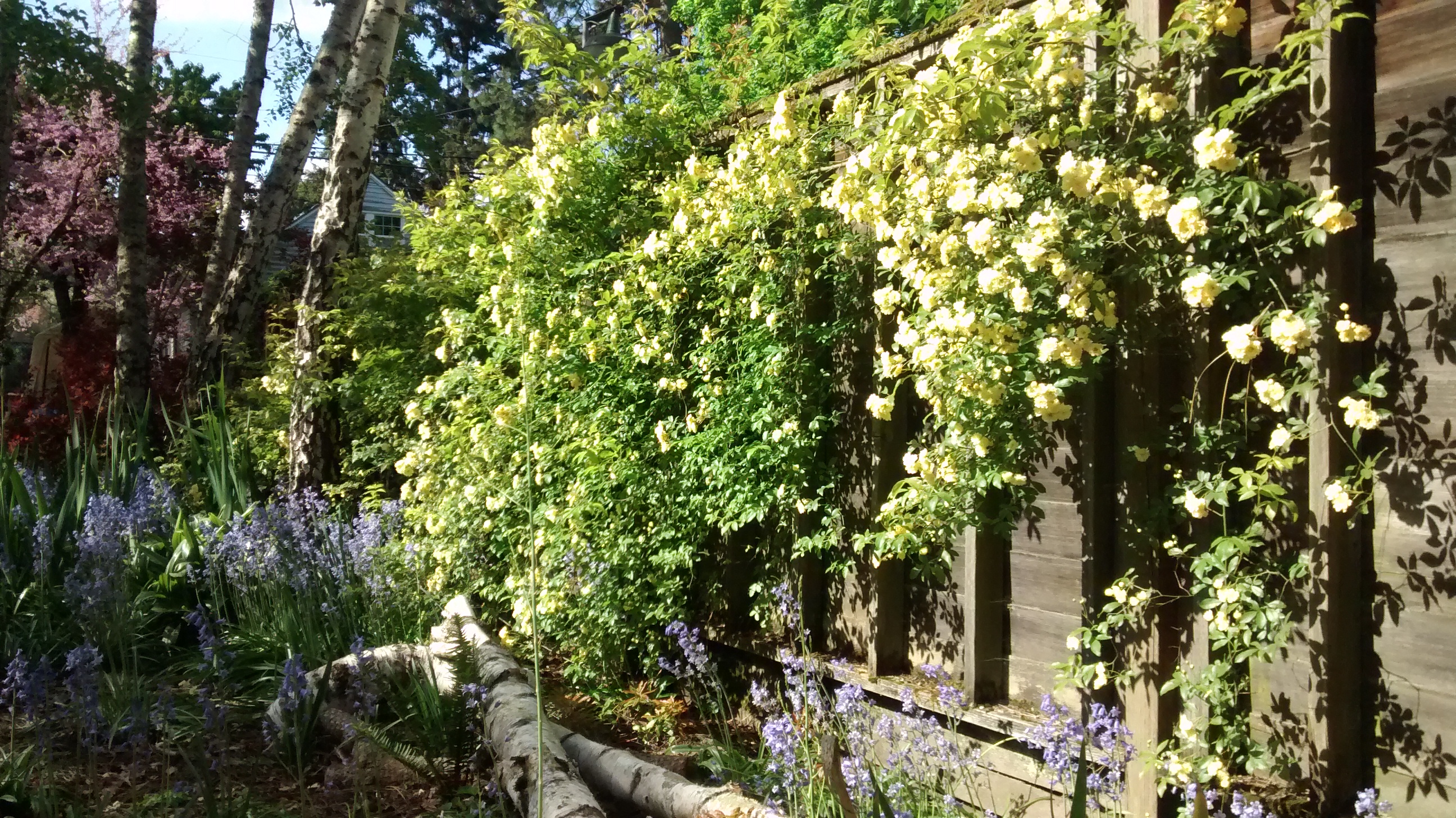 IMG_20170507_093103376