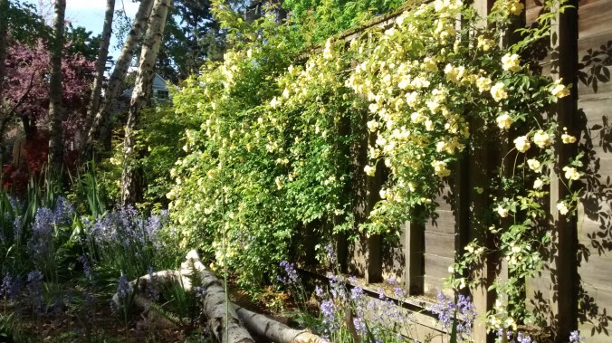 IMG_20170507_093103376